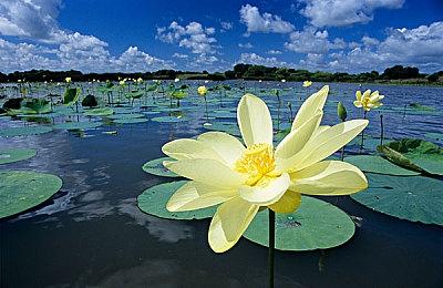 《雷纳提斯》试玩已在多平台推出 全球版9＆27推出