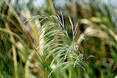 冒险游戏《断崖的卡尔姆》Steam确认支持简体中文