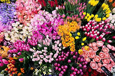 传《黑手党：终极版》将在8月登陆Game Pass